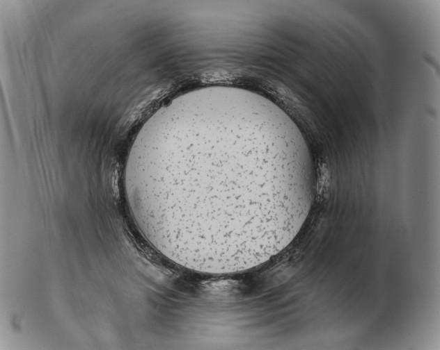 X0000103150452200809121820