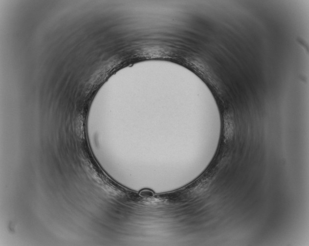 X0000103150453200809121820