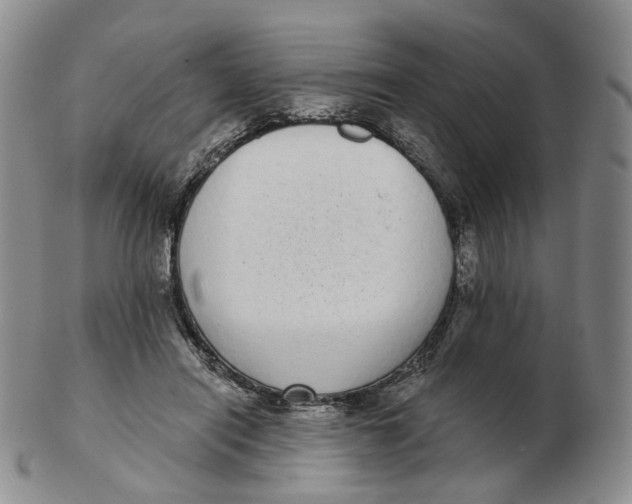 X0000103150454200809121820