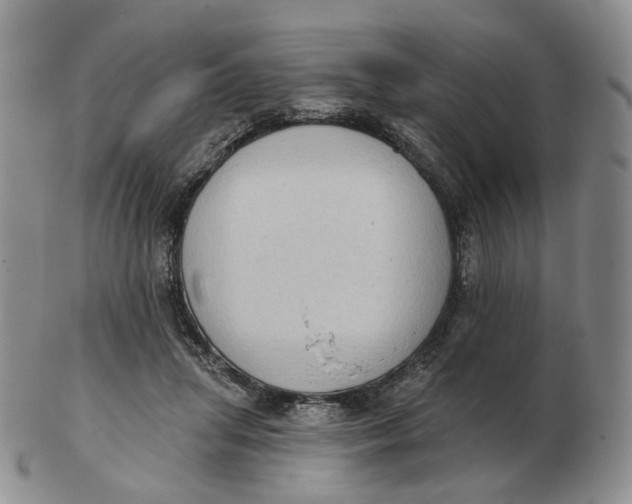 X0000103150455200809121820