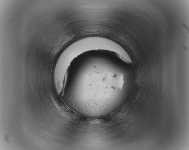 X0000103150456200809121820