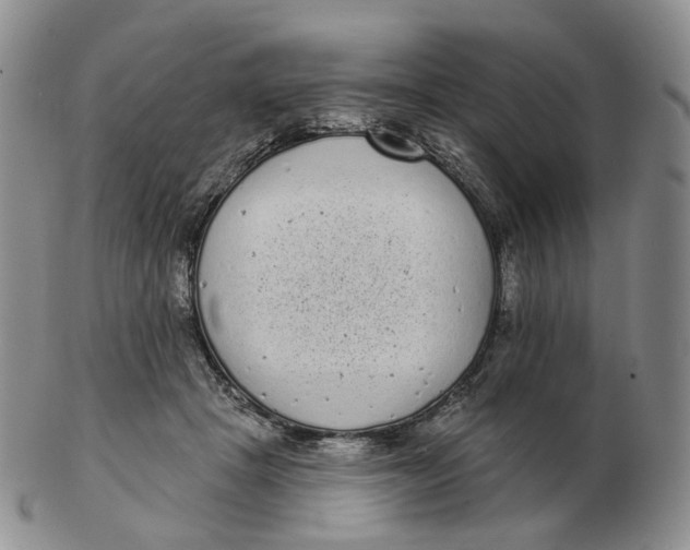 X0000103150457200809121820