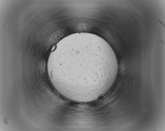 X0000103150458200809121820