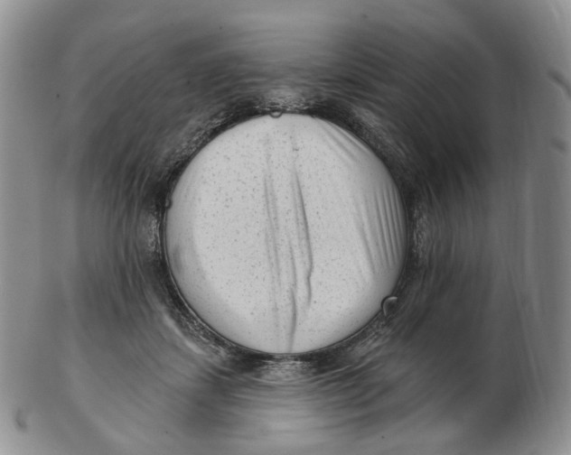 X0000103150459200809121820