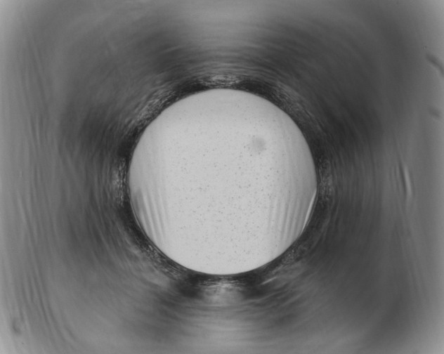 X0000103150460200809121820