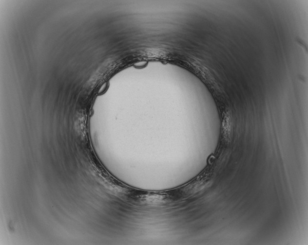 X0000103150462200809121820