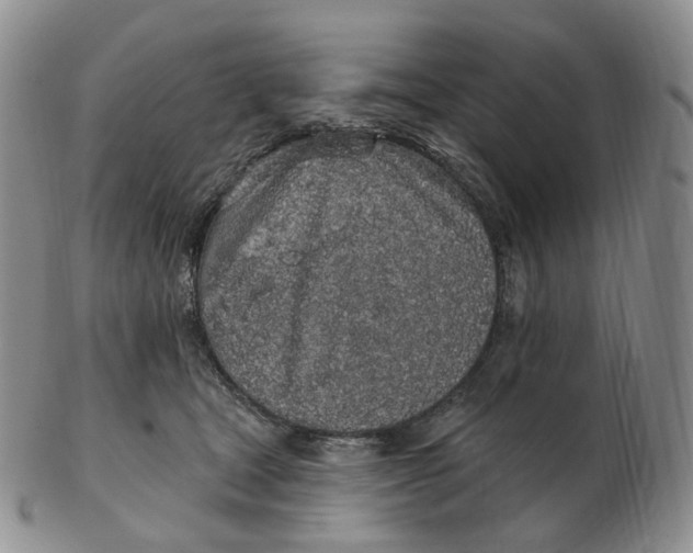 X0000103150465200809121820