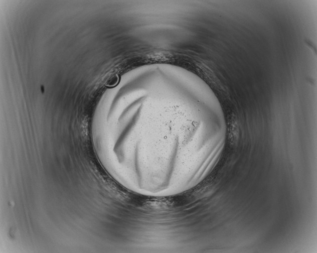 X0000103150466200809121820