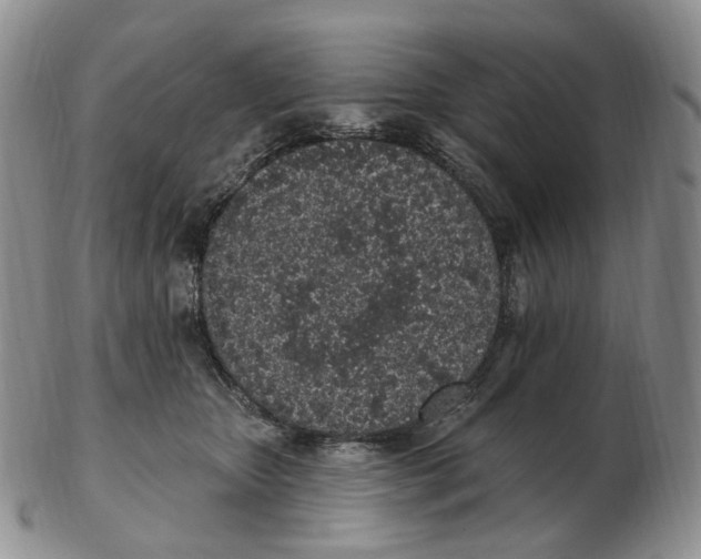 X0000103150467200809121820