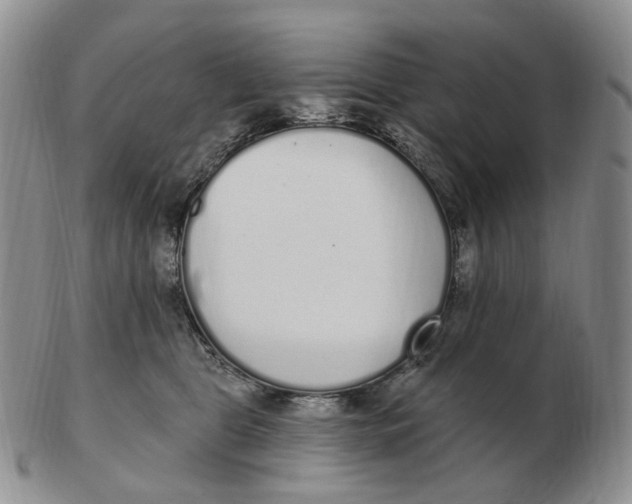 X0000103150469200809121820