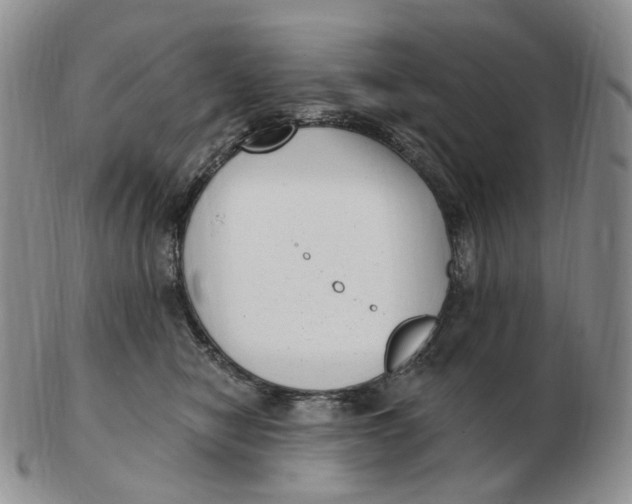 X0000103150470200809121820