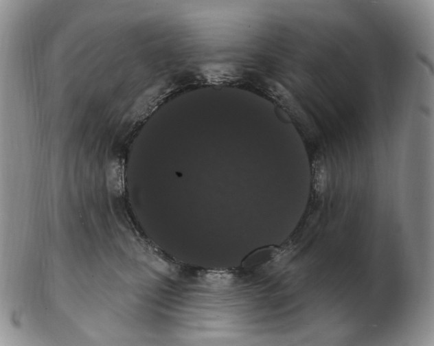 X0000103150471200809121820