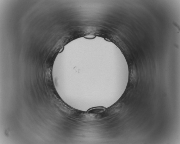 X0000103150473200809121820