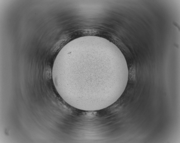 X0000103150474200809121820