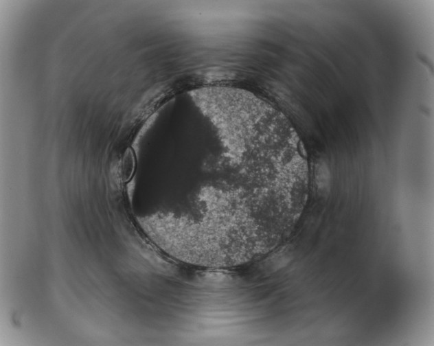 X0000103150475200809121820