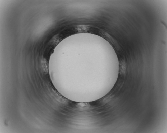 X0000103150477200809121820