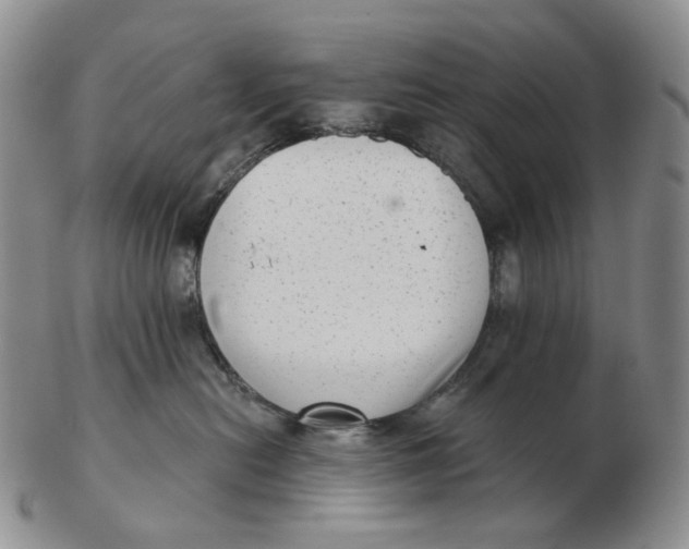 X0000103150478200809121820