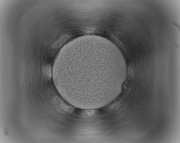 X0000103150479200809121820