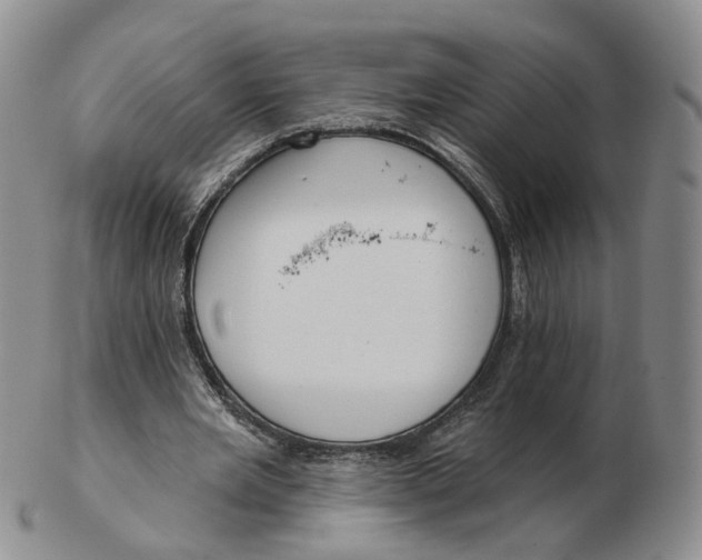 X0000103150485200809121819