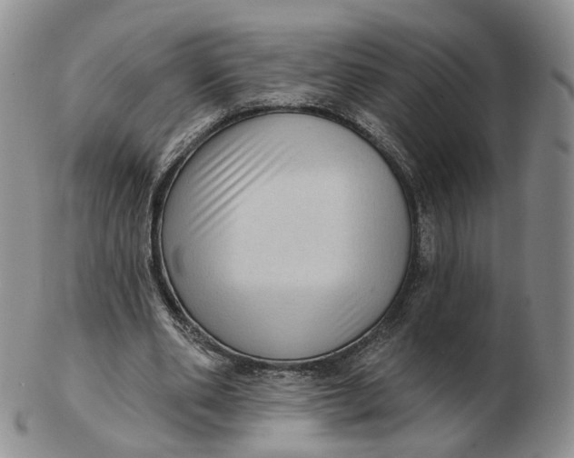 X0000103150486200809121819