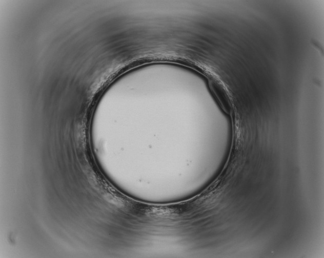 X0000103150487200809121819