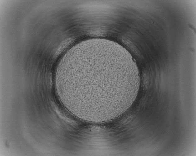 X0000103150494200809121819