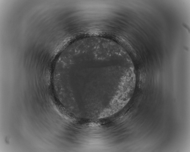 X0000103150496200809121819