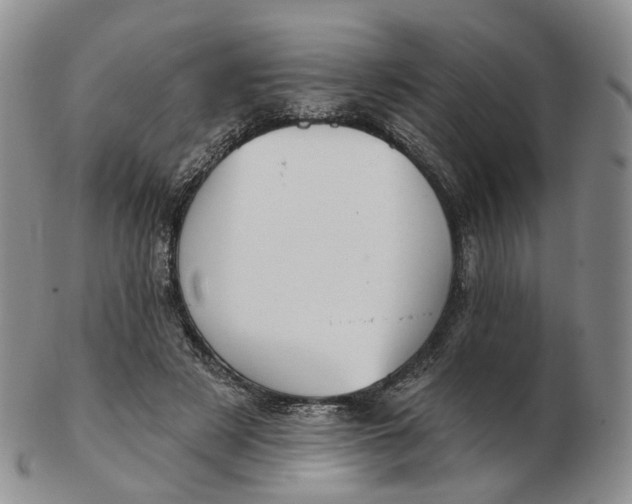 X0000103150497200809121819