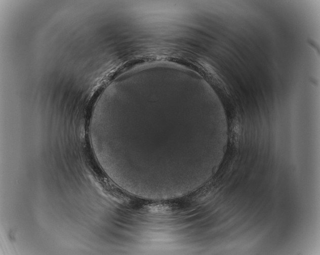 X0000103150500200809121819