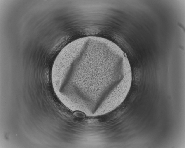 X0000103150501200809121819