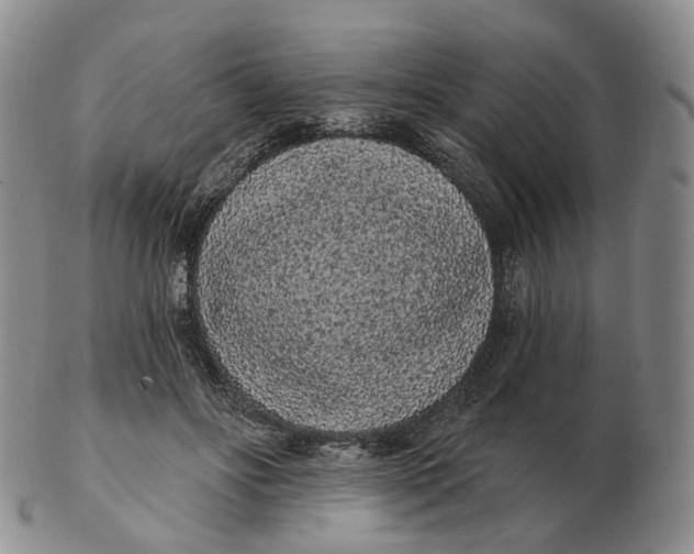 X0000103150502200809121819