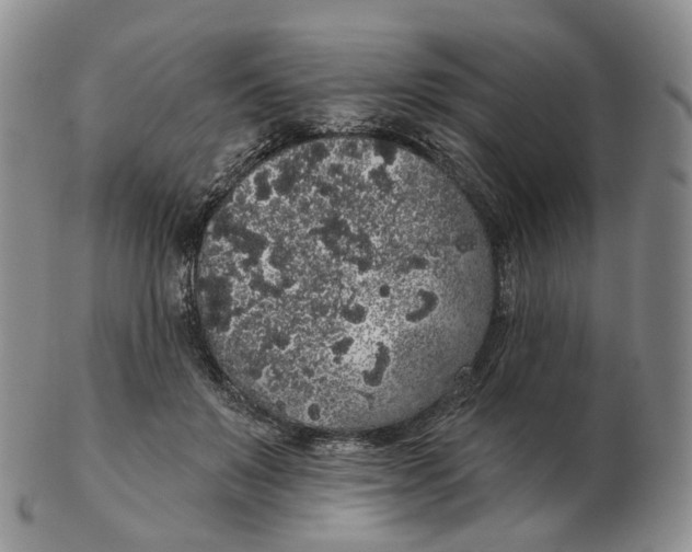 X0000103150503200809121819