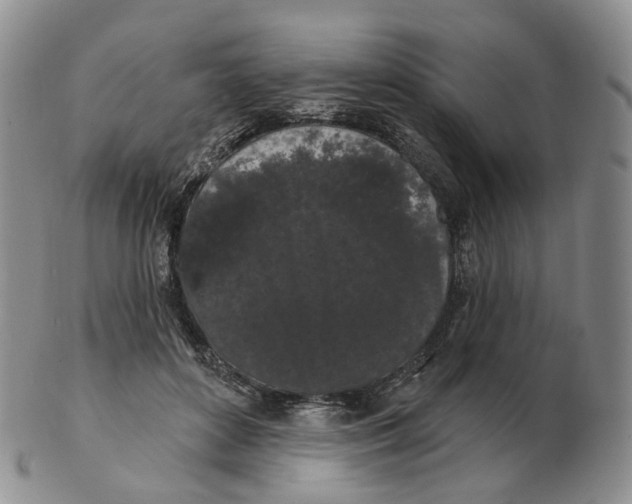 X0000103150504200809121819