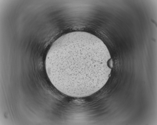 X0000103150508200809121819