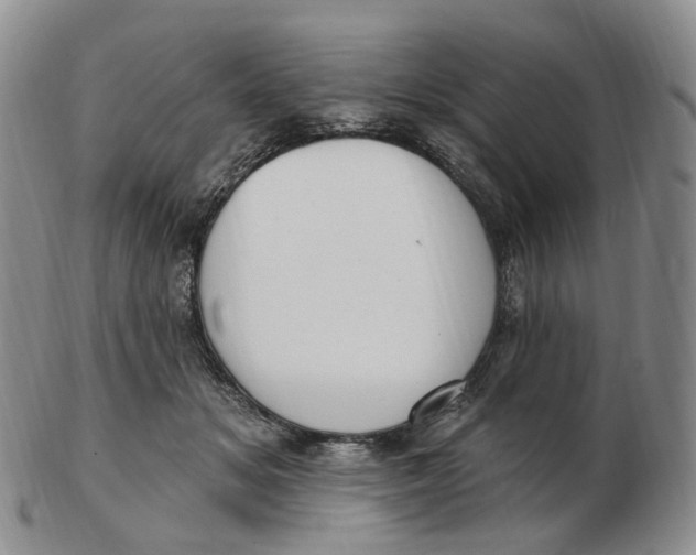 X0000103150509200809121819