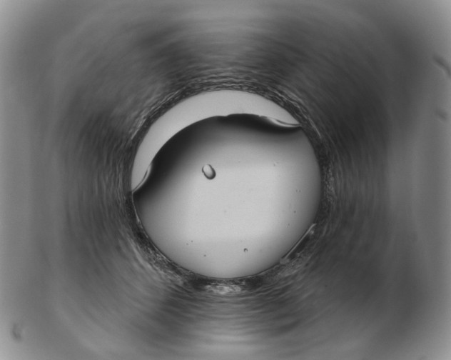 X0000103150512200809121819