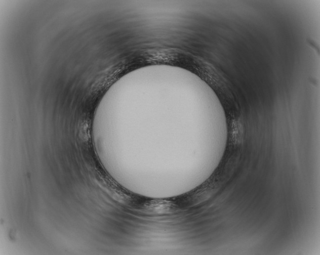 X0000103150514200809121819