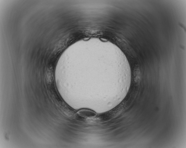 X0000103150515200809121819