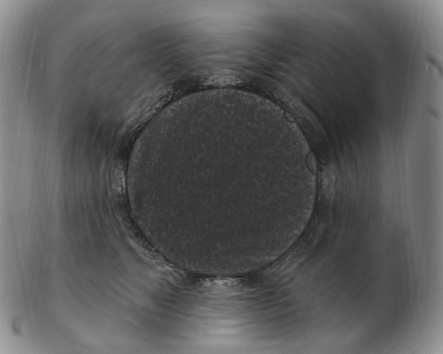 X0000103150517200809121819