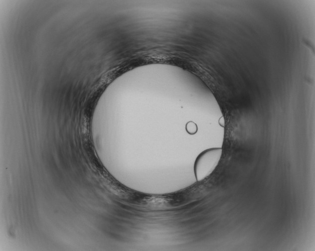 X0000103150518200809121819