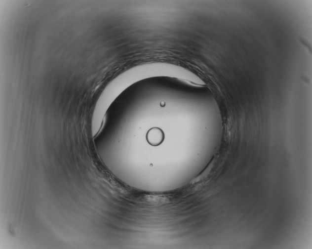 X0000103150520200809121819