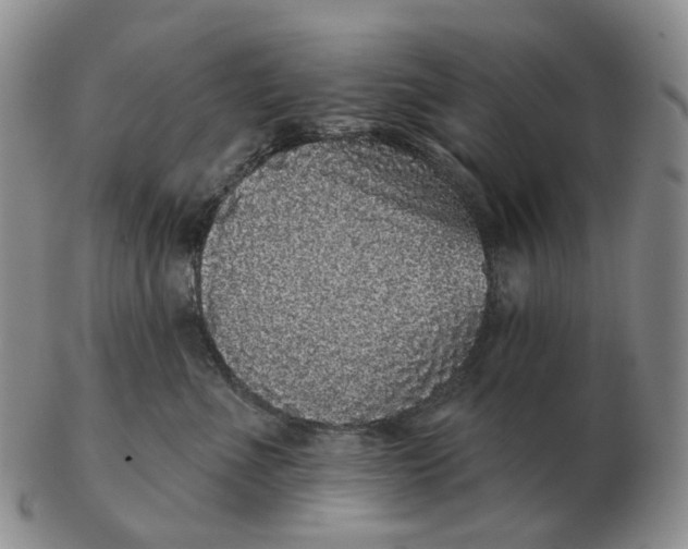 X0000103150523200809121819