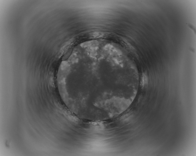 X0000103150524200809121819