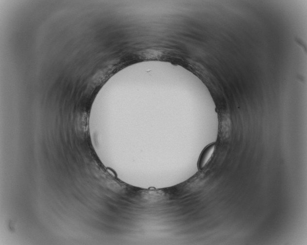 X0000103150525200809121819