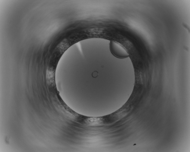 X0000103150526200809121819