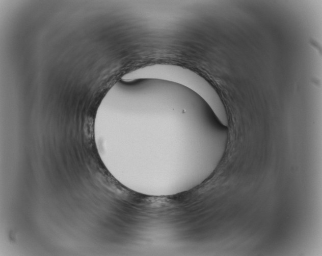 X0000103150528200809121819