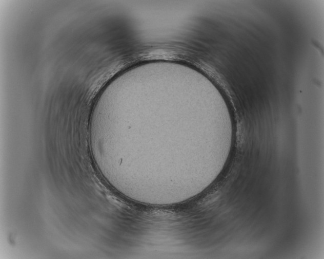 X0000103150529200809121818