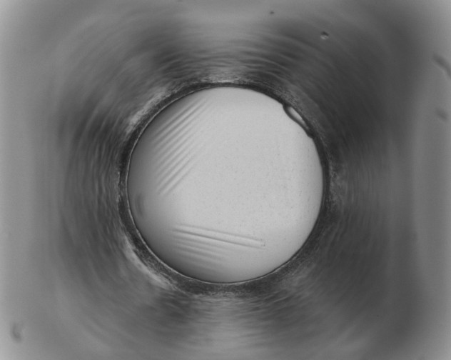 X0000103150530200809121818