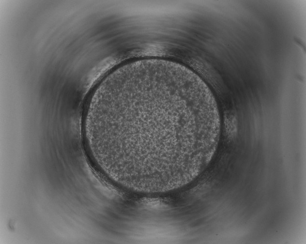 X0000103150534200809121818