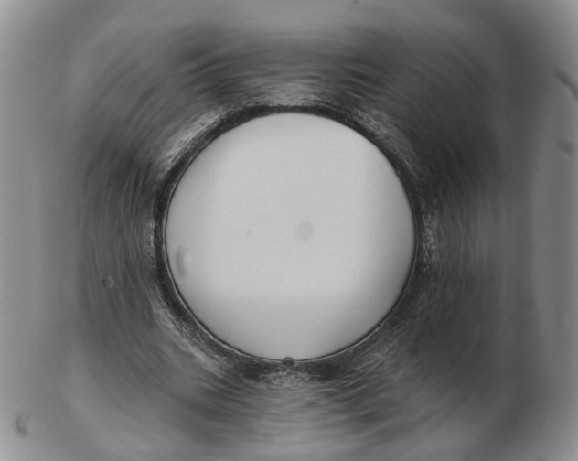 X0000103150535200809121818